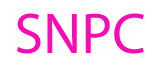 S.A.S. NON-PROFIT CORPORATION